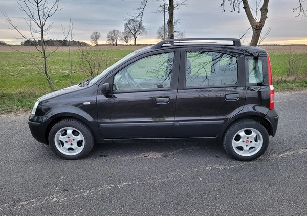 Fiat Panda cena 7900 przebieg: 158000, rok produkcji 2004 z Chełmno małe 352